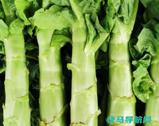 莴笋黄瓜一起吃有哪些好处？莴笋中间有红色的了能吃吗？