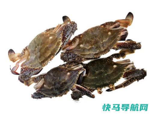 梭子蟹蒸了半小时还能吃吗？梭子蟹用火锅底料炒好不好吃